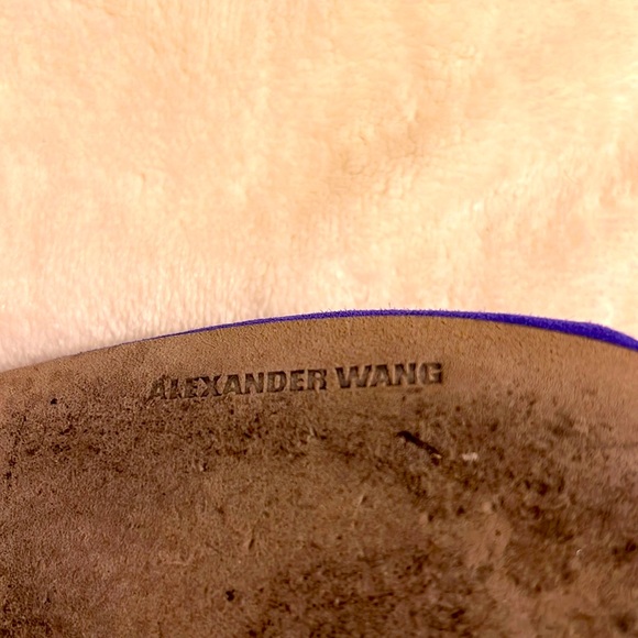 Alexander Wang. Elegant Suede Blue Women's Heels. Size 39.5/8.5 Made in Italy - Picture 6 of 7